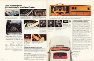 1980 Chevrolet Citation (Cdn)-22-23.jpg